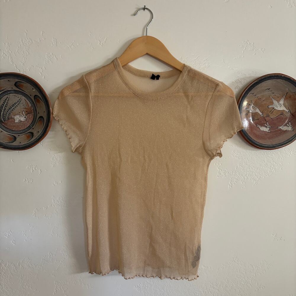 Sheer Urban Outfitters Shimmery Top with Ruffle Hem